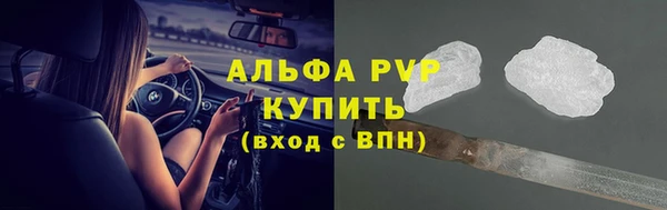 ГАЛЛЮЦИНОГЕННЫЕ ГРИБЫ Вяземский
