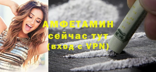 ГАЛЛЮЦИНОГЕННЫЕ ГРИБЫ Вяземский