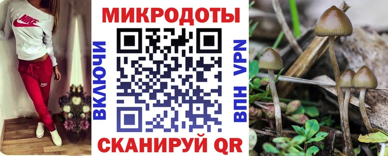 Галлюциногенные грибы мицелий Дивногорск
