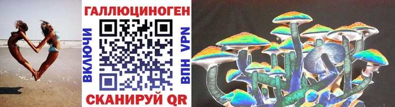 MEGA tor  Дивногорск  Псилоцибиновые грибы Psilocybine cubensis 
