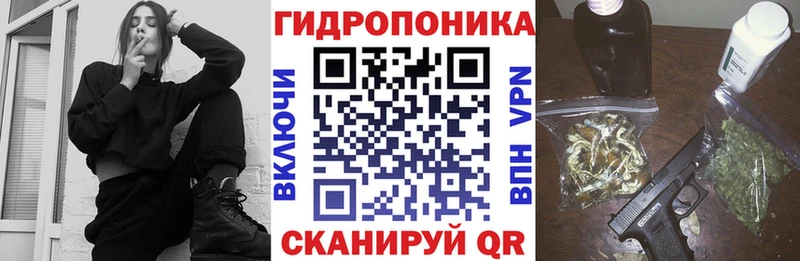 Шишки марихуана MAZAR  blacksprut ссылка  Дивногорск 